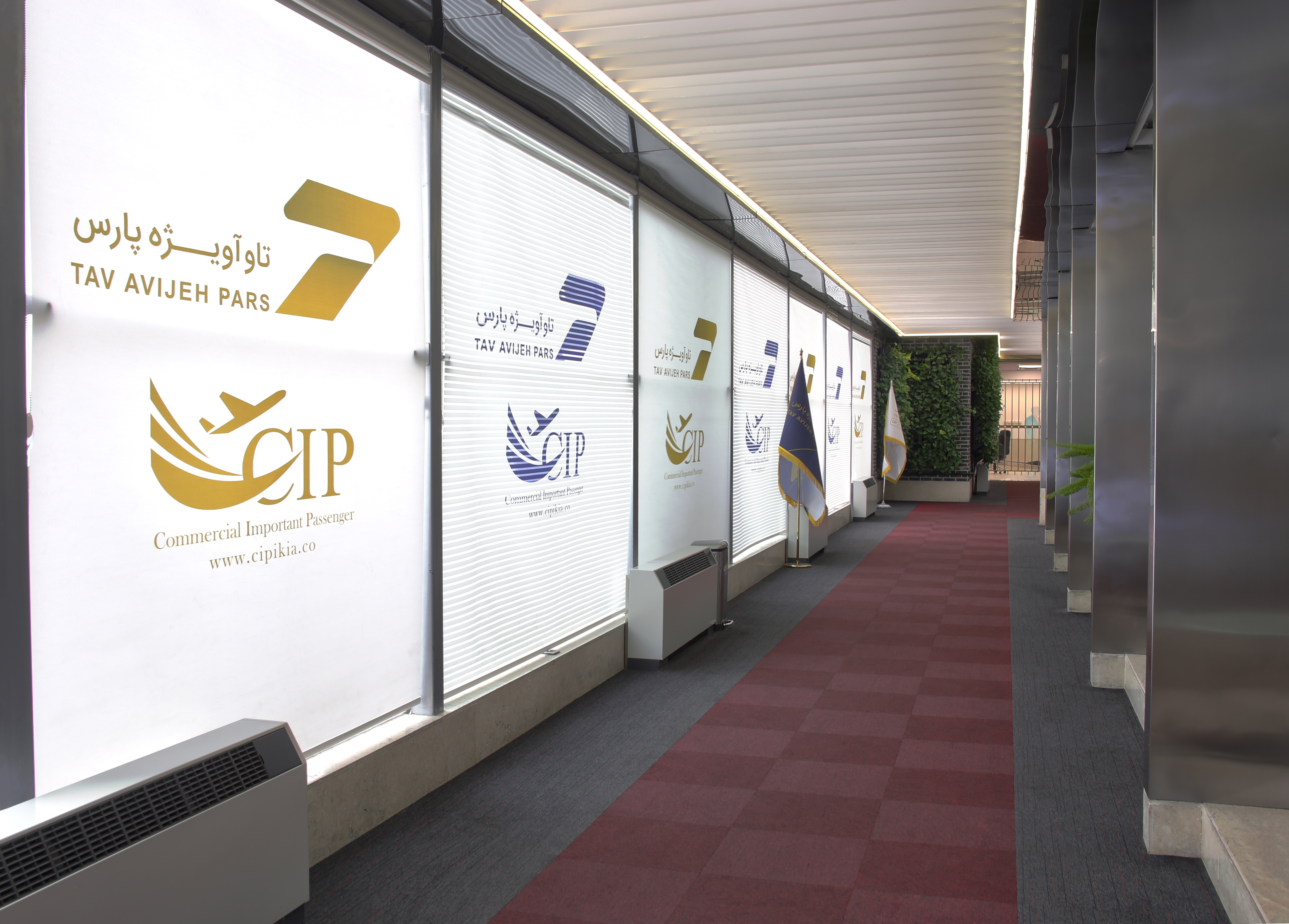 CIP pic (10).jpg